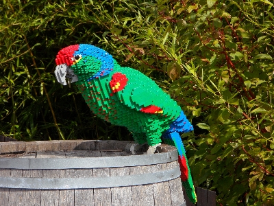 Bird green fauna barrel Photo