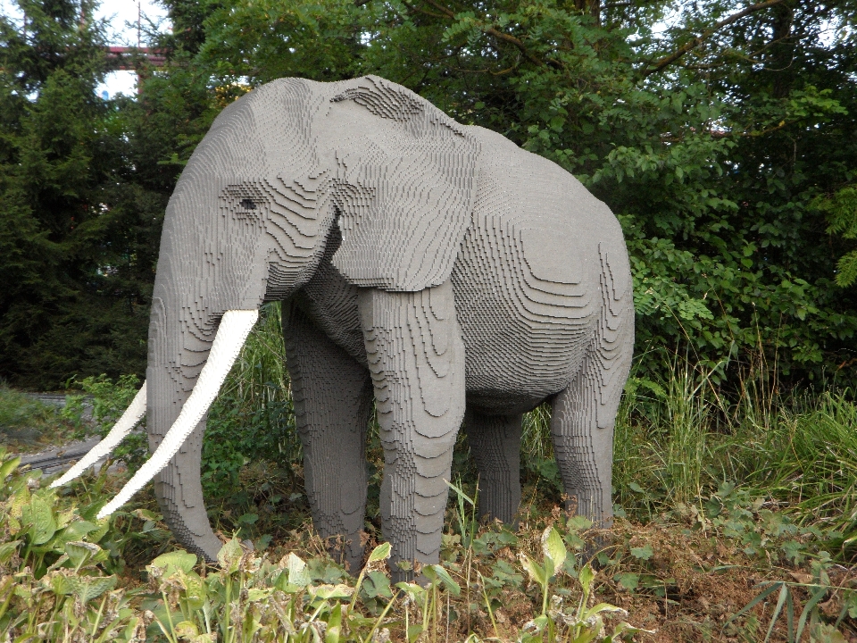 Dzikiej przyrody ogród zoologiczny ssak fauna