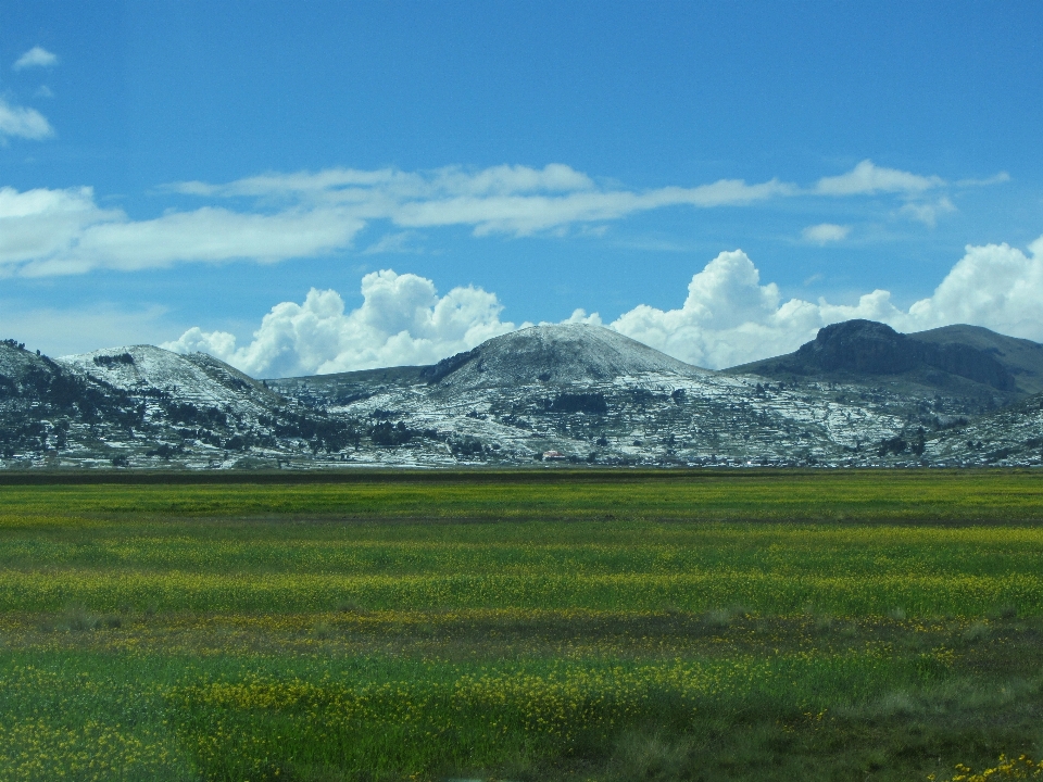 Landschaft natur gras horizont