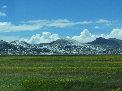 Landscape nature grass horizon Photo