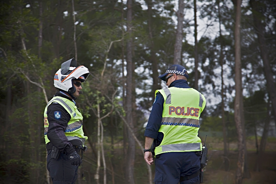 Bosque seguridad vigilancia policía