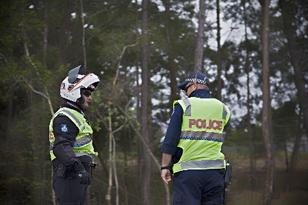 Foto Hutan keamanan pengawasan polisi