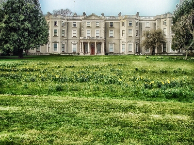 Grass architecture lawn meadow Photo