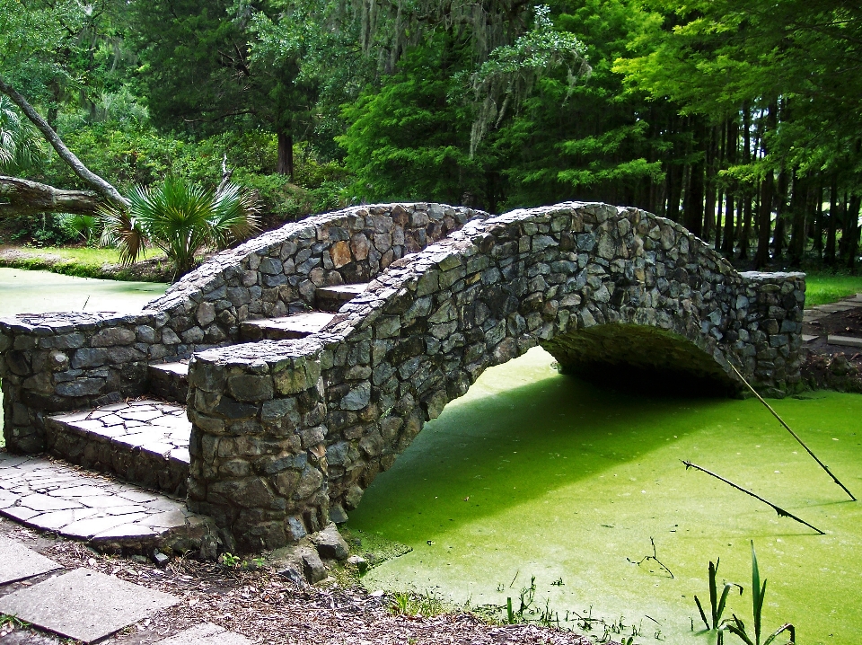 Arbre herbe rock pont