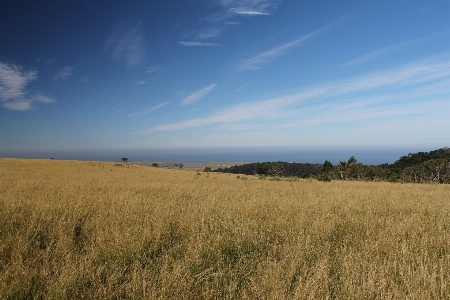 Landscape nature grass horizon Photo