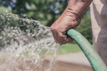 Hand man tree water Photo