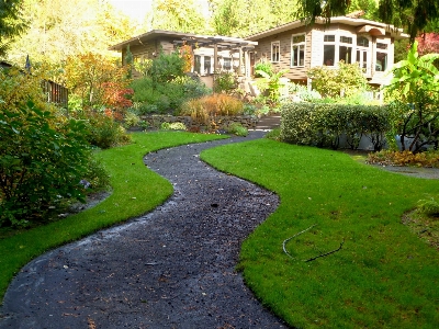 Landscape path grass lawn Photo