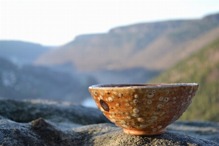 Mountain tea morning glass Photo