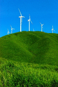 Grass sky field meadow Photo