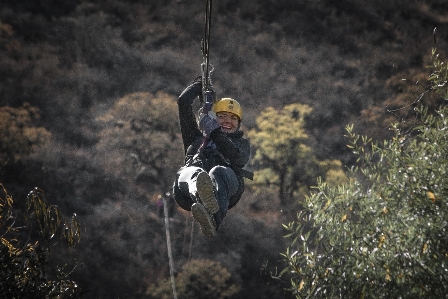 Nature forest rope girl Photo