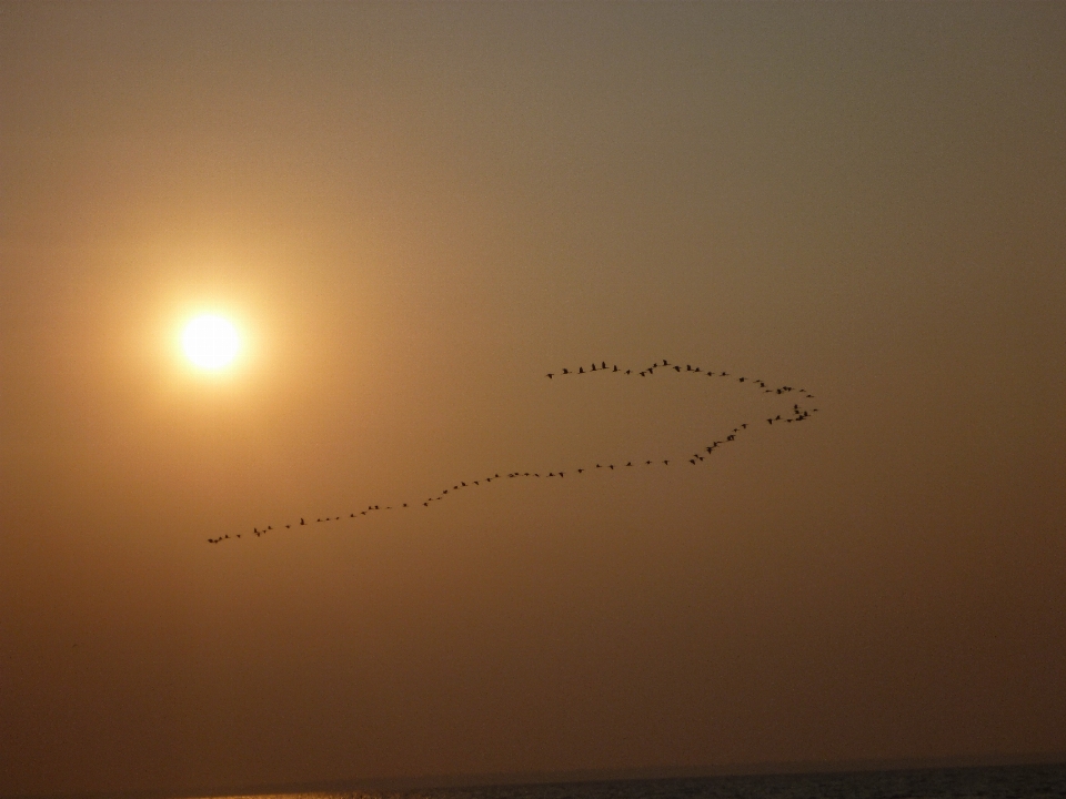 海 水 地平線 空