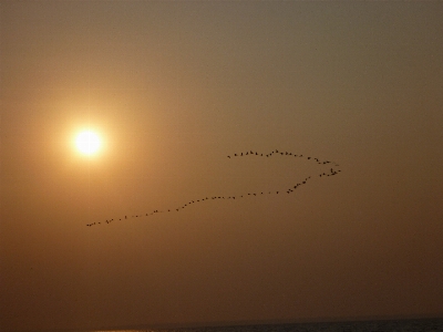 海 水 地平線 空 写真