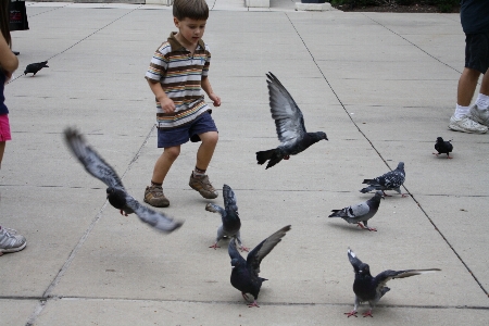 Street play running kid Photo