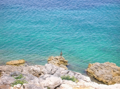 Beach sea coast water Photo