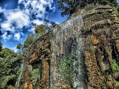 Photo Arbre nature rock cascade