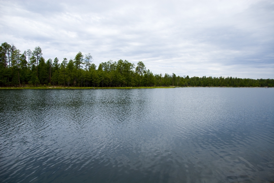 Krajobraz drzewo woda natura