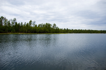 Landscape tree water nature Photo