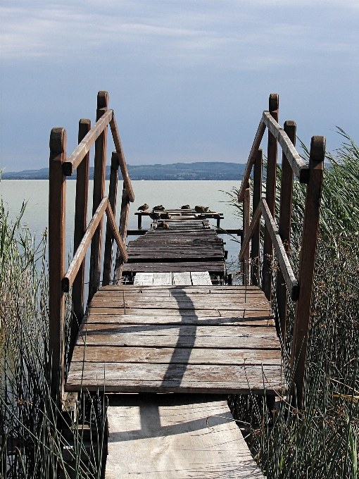 Plage mer côte dock