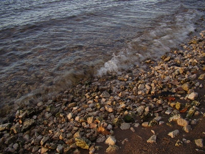 Beach sea coast water Photo