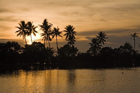 Sea tree nature horizon Photo