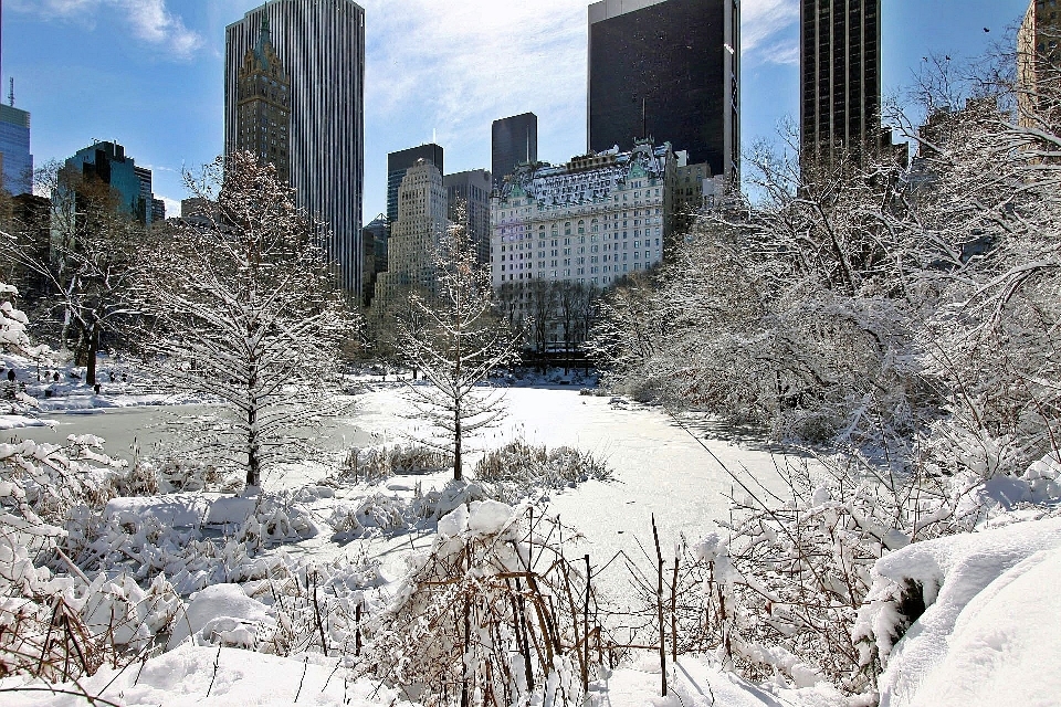 Snow winter skyline building