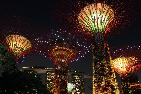 Foto Pohon kreatif lampu langit