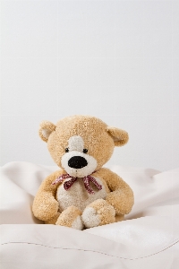 Cute bear gift child Photo