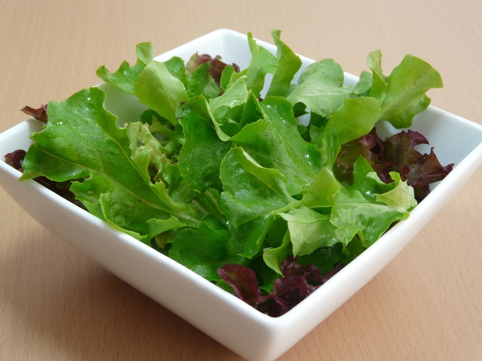 White leaf bowl dish