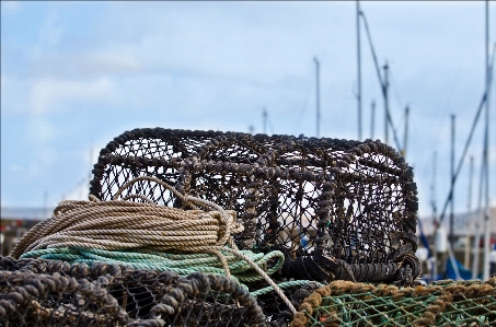 Sea coast water rope Photo