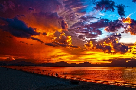 Beach sea coast ocean Photo