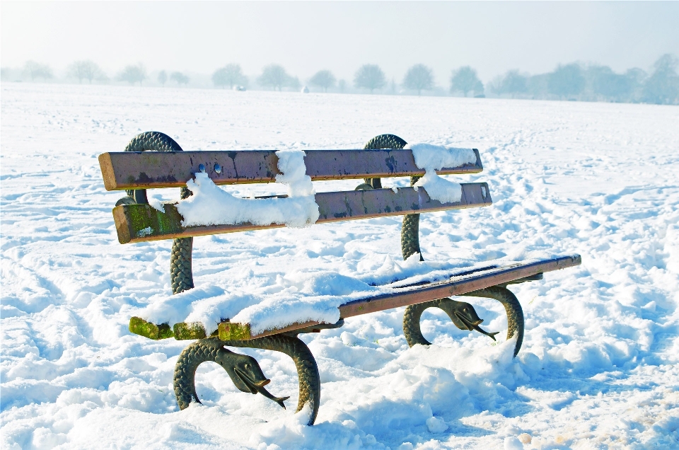 Landschaft natur schnee kalt