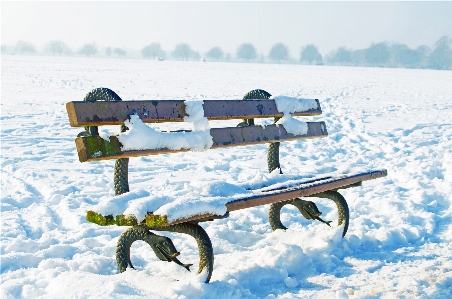 Landscape nature snow cold Photo