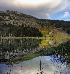 Landscape tree water nature Photo