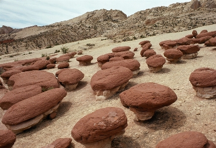 Landscape nature sand rock Photo