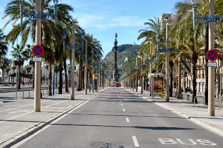 Foto Pedone passerella strada città