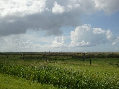 Landscape nature grass horizon Photo