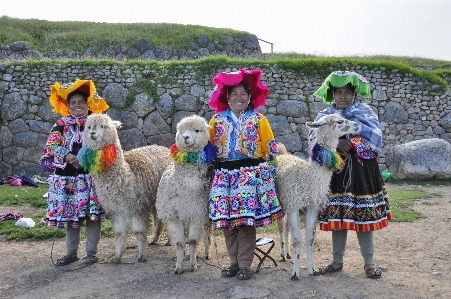 Foto Arsitektur peternakan mamalia pertanian