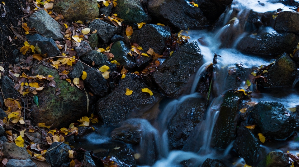 Agua naturaleza rock cascada