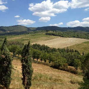 Landscape tree mountain sky Photo