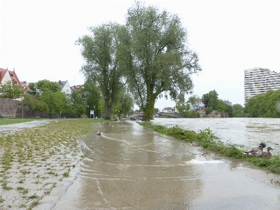 Water road rain wet Photo