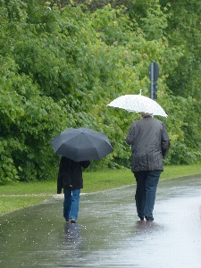 Water rain run wet Photo