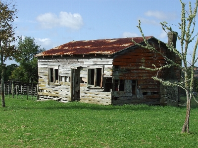 Gras die architektur struktur holz Foto