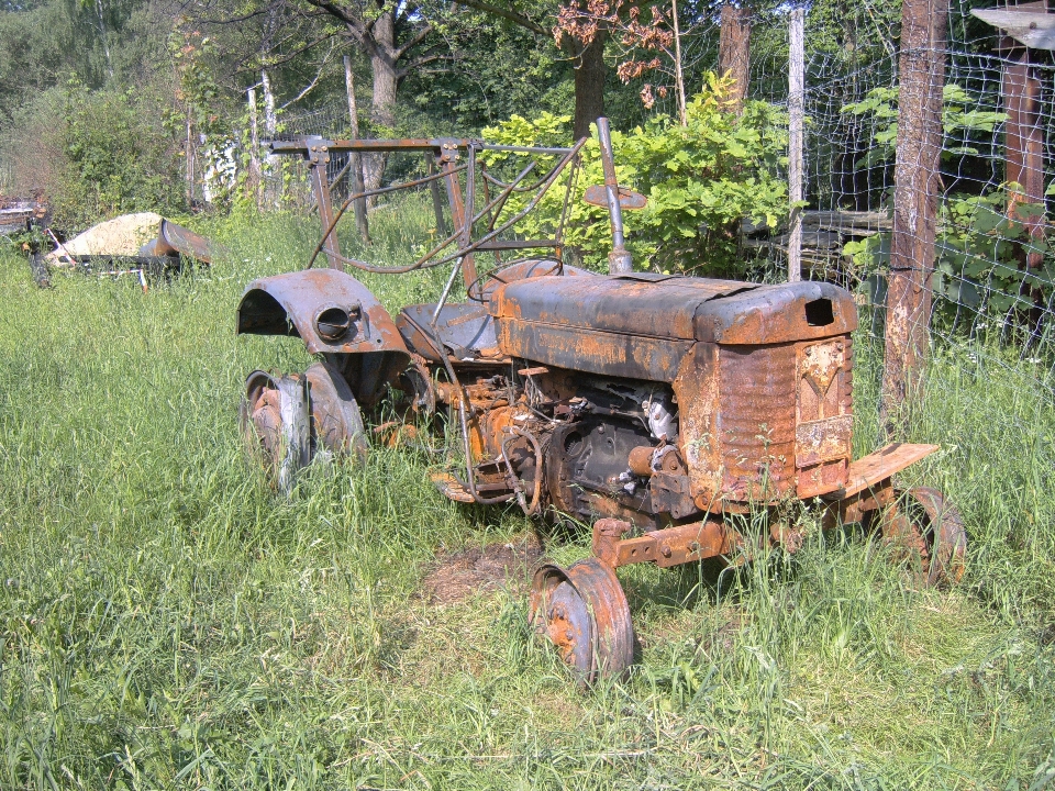 Trawa ciągnik gospodarstwo rolne trawnik