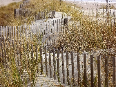 Grass sand winter fence Photo