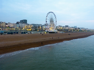 Beach sea coast ocean Photo