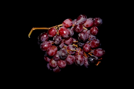 Branch plant grape fruit Photo