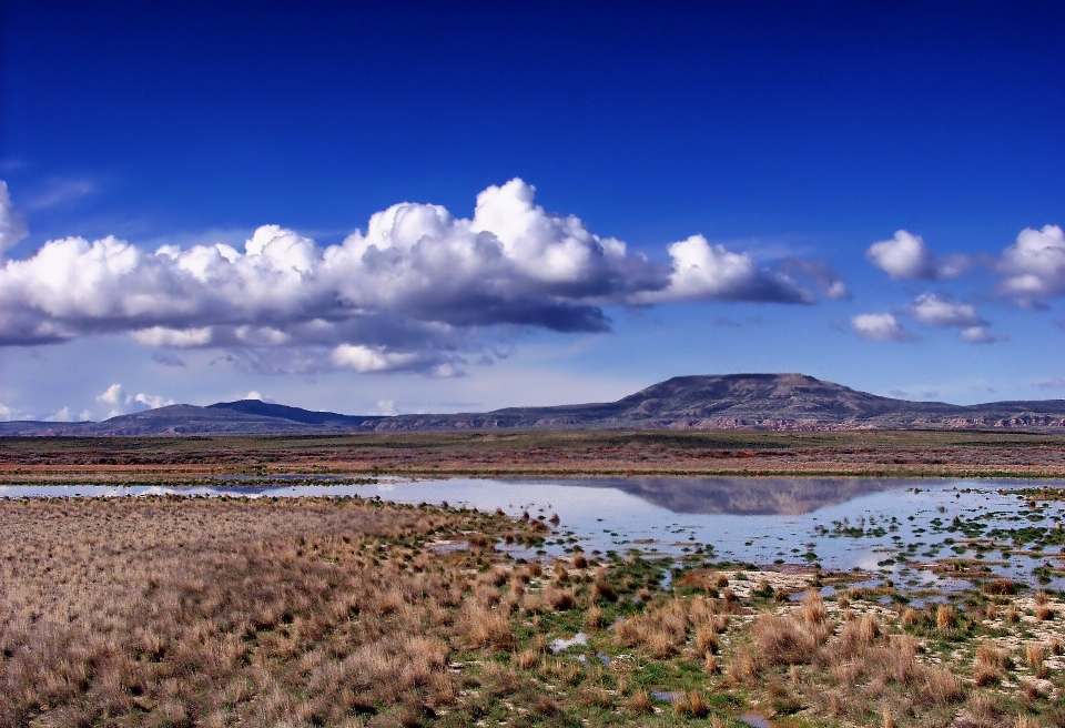 Paysage mer côte eau