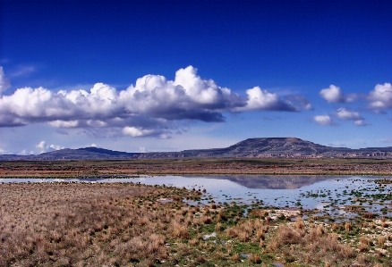 Landscape sea coast water Photo