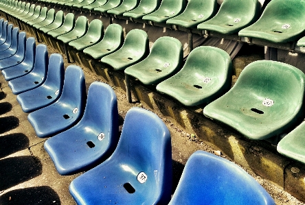 Foto Assistir esporte jogar público