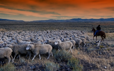 Man landscape nature wilderness Photo